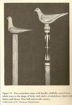 Cane
